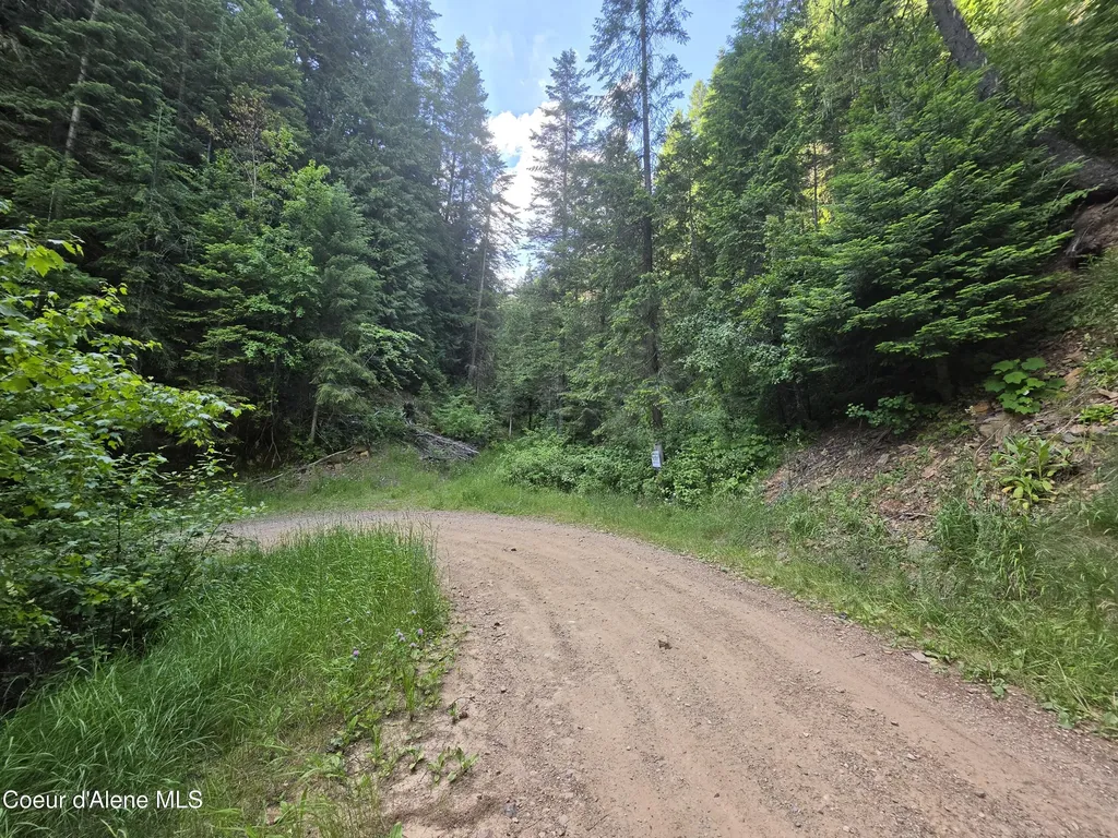 480 Dunn Peak Road Avery ID 83802