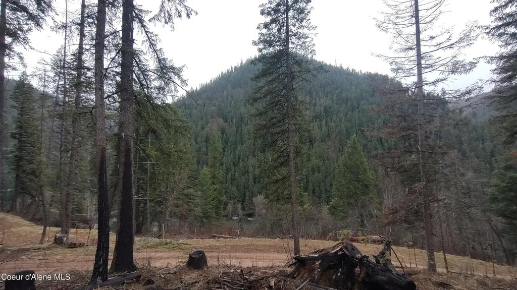 480 Dunn Peak Road Avery ID 83802