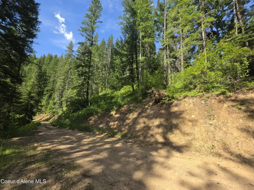480 Dunn Peak Road Avery ID 83802