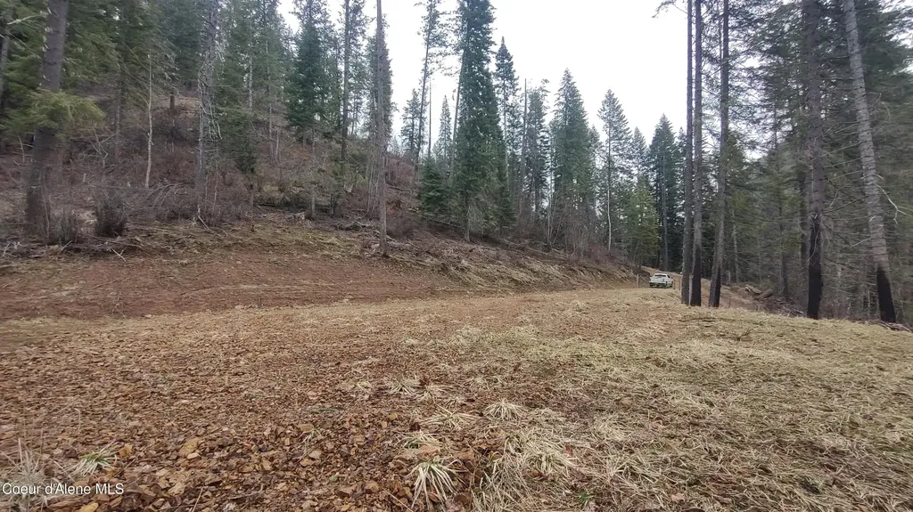 480 Dunn Peak Road Avery ID 83802