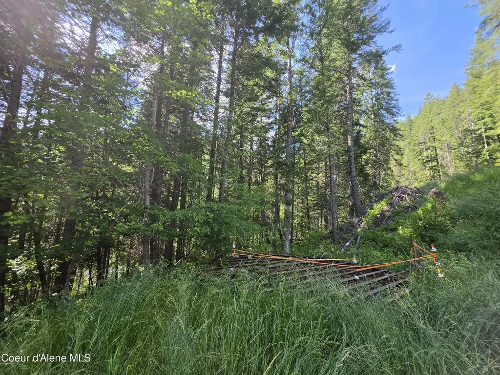 480 Dunn Peak Road Avery ID 83802