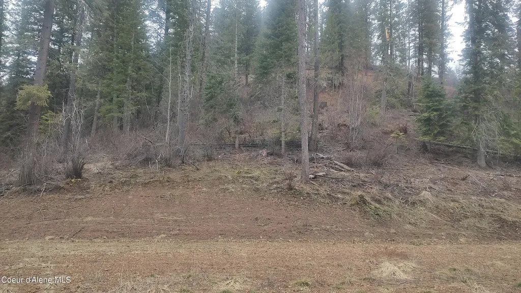 480 Dunn Peak Road Avery ID 83802