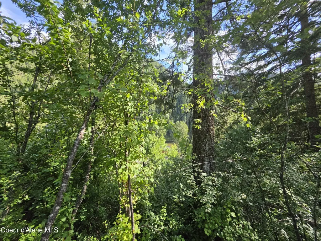 480 Dunn Peak Road Avery ID 83802