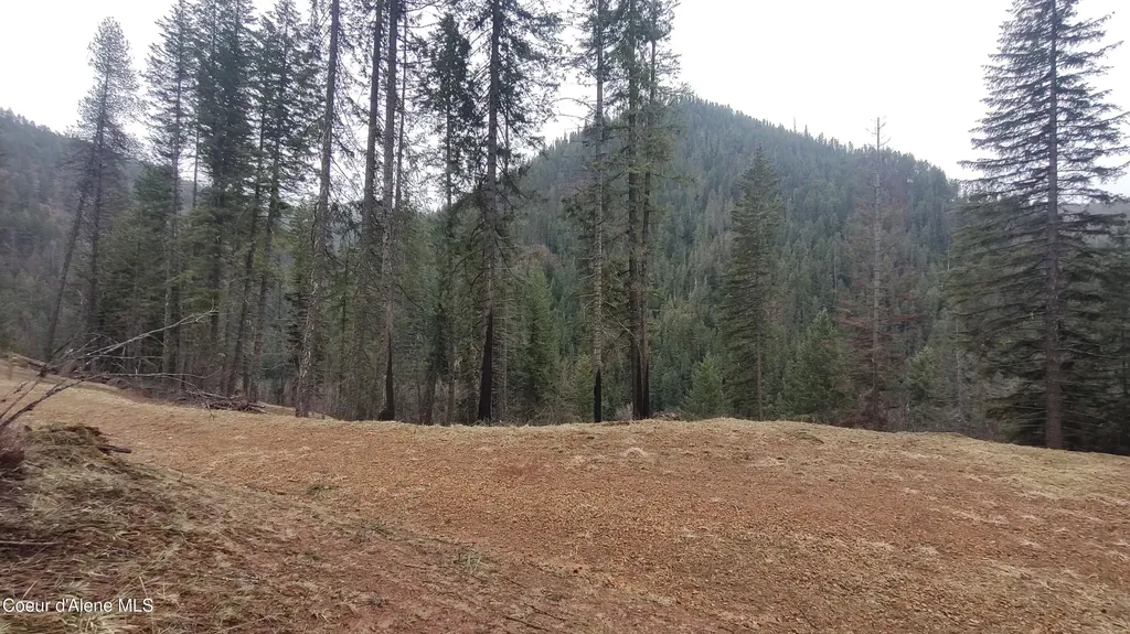 480 Dunn Peak Road Avery ID 83802