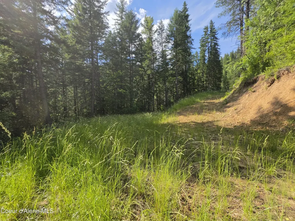 480 Dunn Peak Road Avery ID 83802
