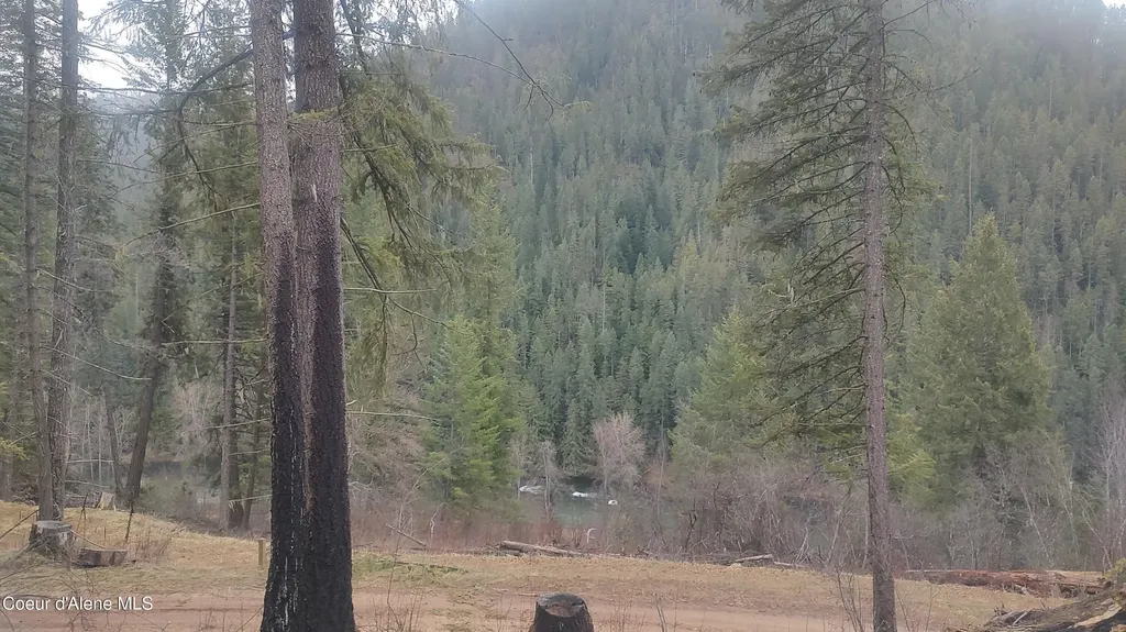 480 Dunn Peak Road Avery ID 83802