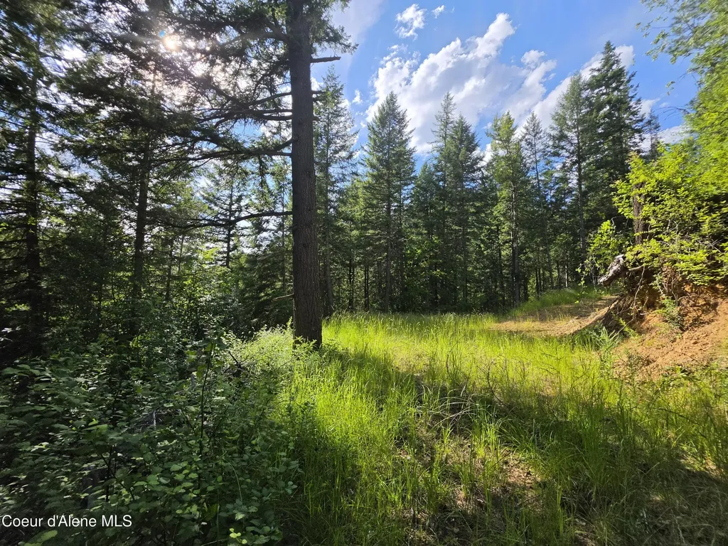 480 Dunn Peak Road Avery ID 83802