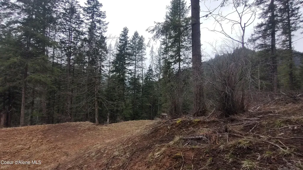 480 Dunn Peak Road Avery ID 83802