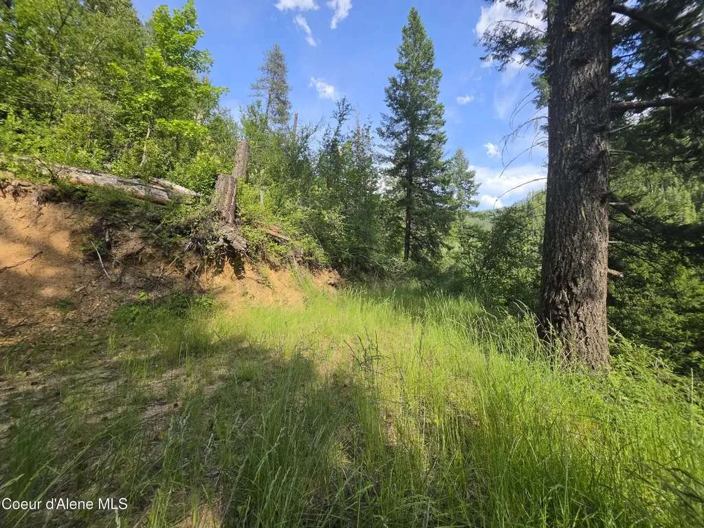 480 Dunn Peak Road Avery ID 83802