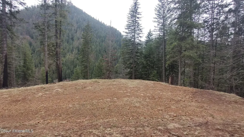 480 Dunn Peak Road Avery ID 83802