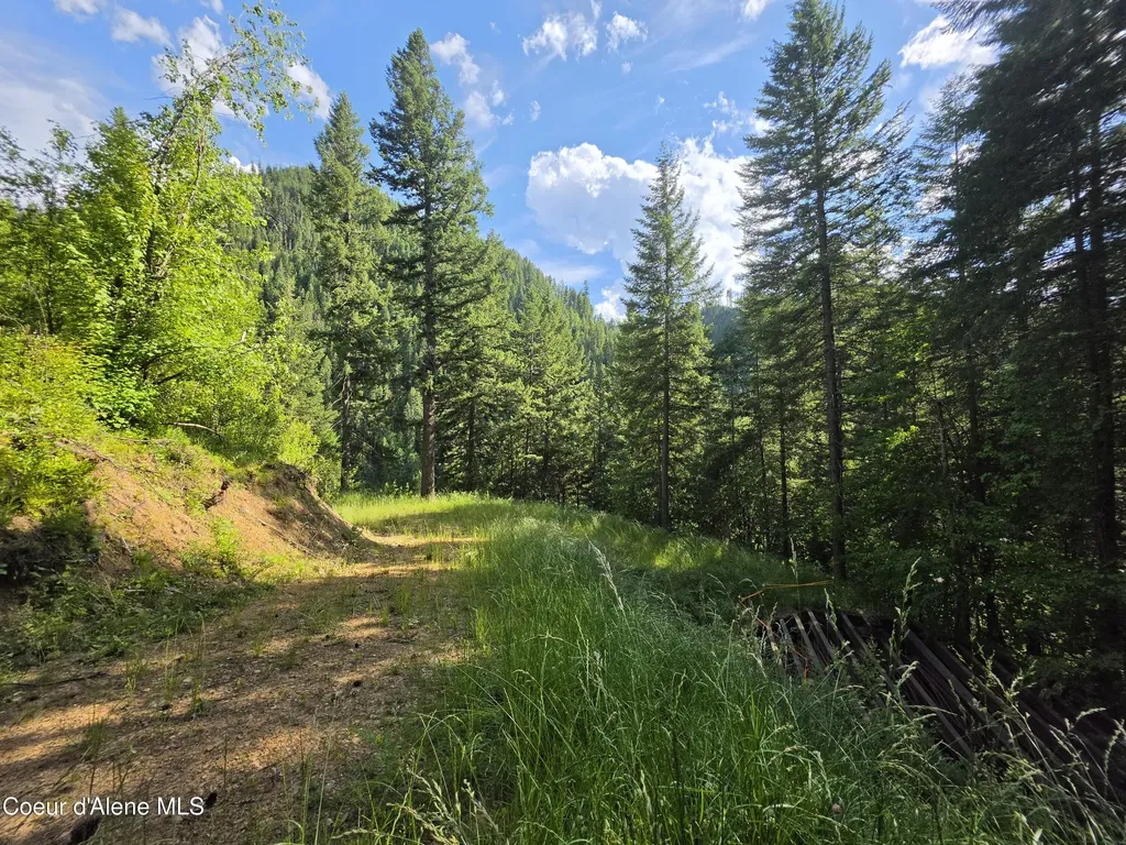 480 Dunn Peak Road Avery ID 83802