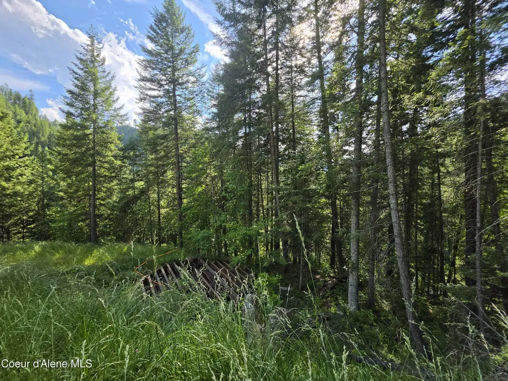 480 Dunn Peak Road Avery ID 83802