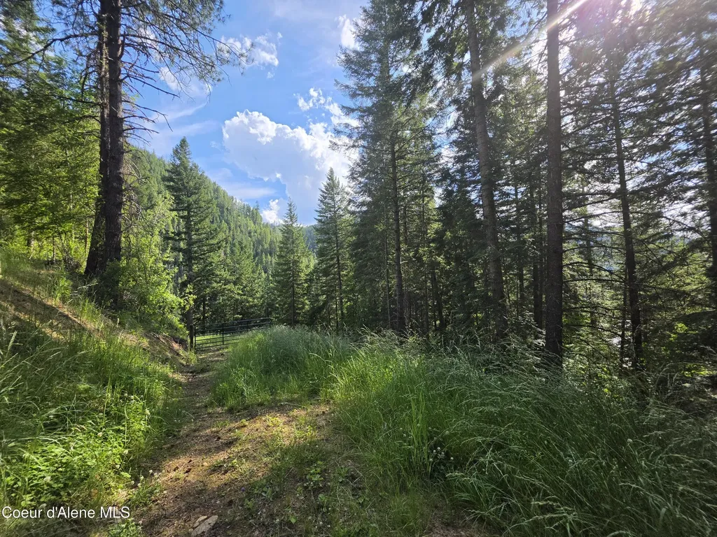 480 Dunn Peak Road Avery ID 83802