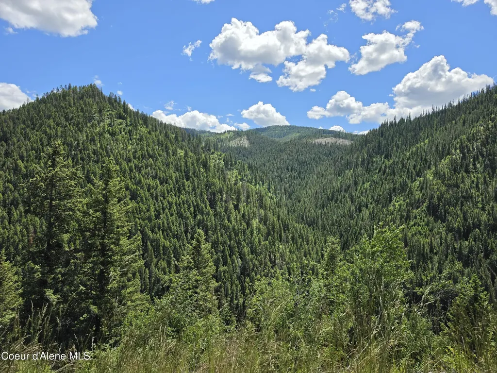 480 Dunn Peak Road Avery ID 83802