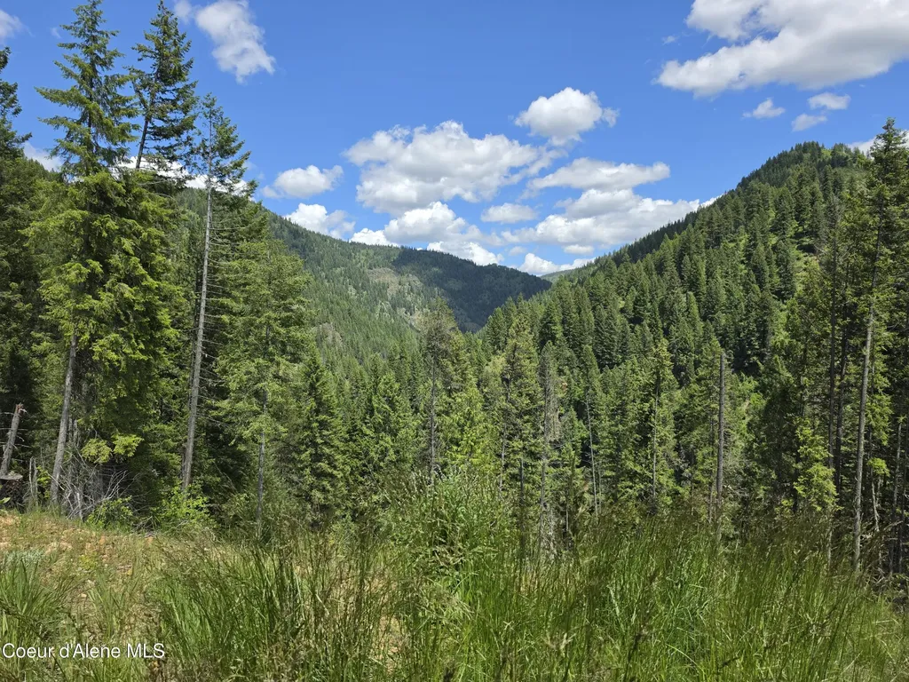 480 Dunn Peak Road Avery ID 83802