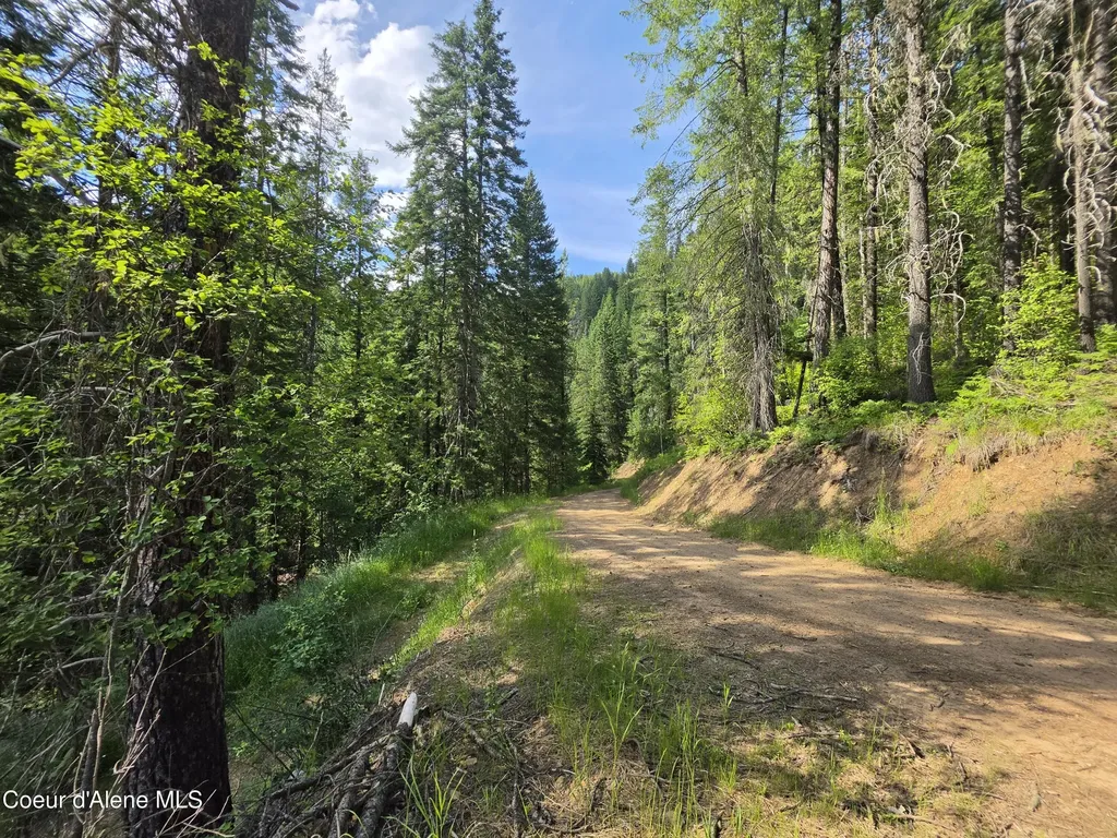 480 Dunn Peak Road Avery ID 83802