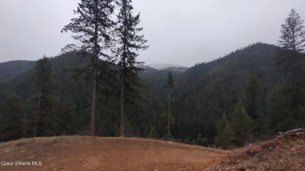 480 Dunn Peak Road Avery ID 83802