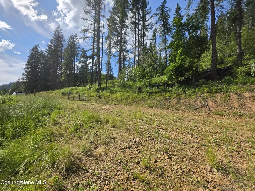 480 Dunn Peak Road Avery ID 83802