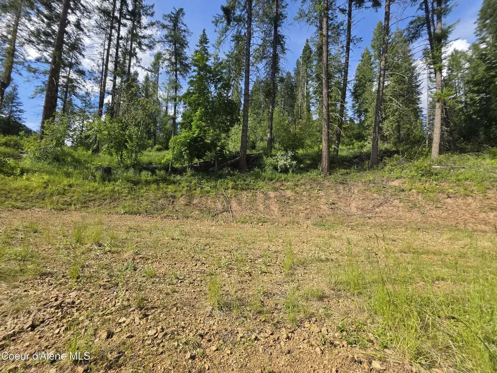 480 Dunn Peak Road Avery ID 83802