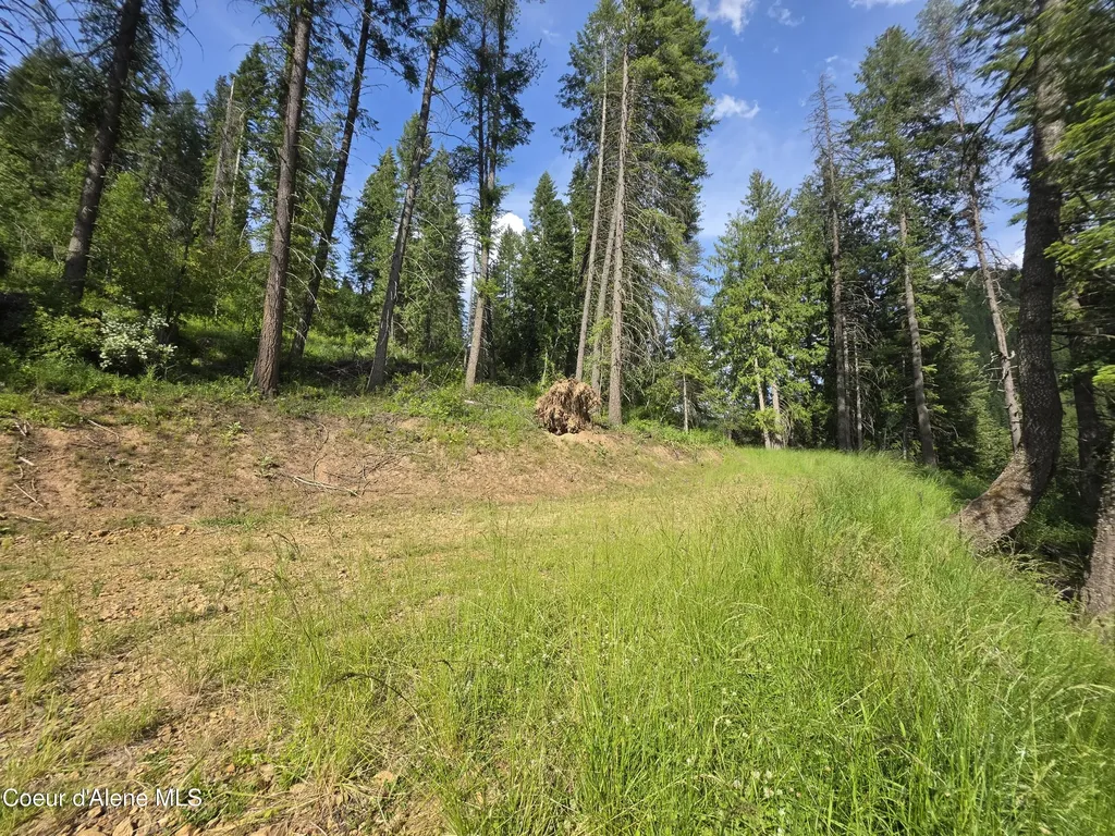 480 Dunn Peak Road Avery ID 83802