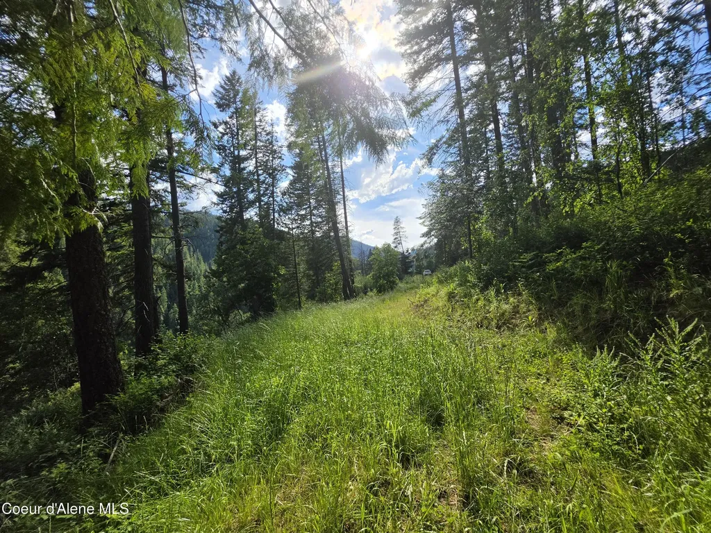 480 Dunn Peak Road Avery ID 83802