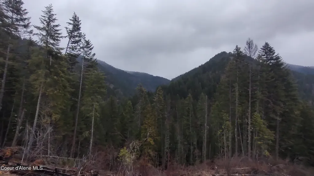 480 Dunn Peak Road Avery ID 83802