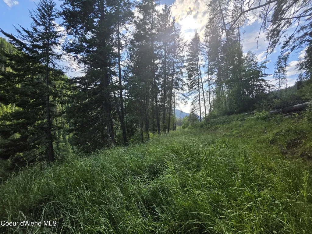 480 Dunn Peak Road Avery ID 83802