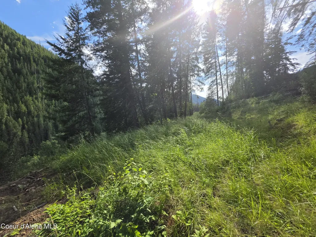 480 Dunn Peak Road Avery ID 83802