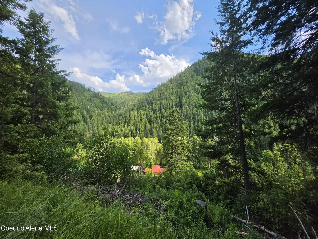 480 Dunn Peak Road Avery ID 83802