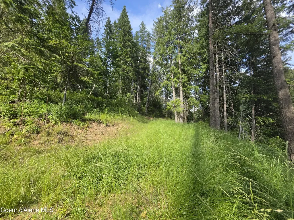 480 Dunn Peak Road Avery ID 83802