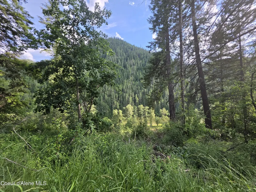 480 Dunn Peak Road Avery ID 83802