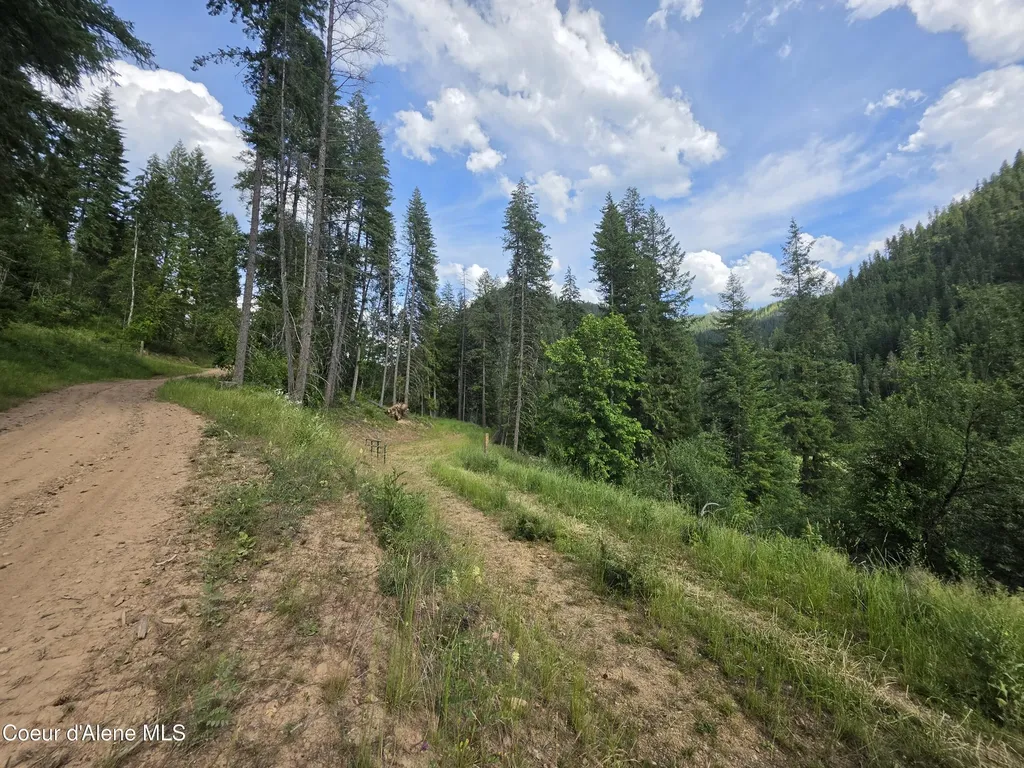 480 Dunn Peak Road Avery ID 83802