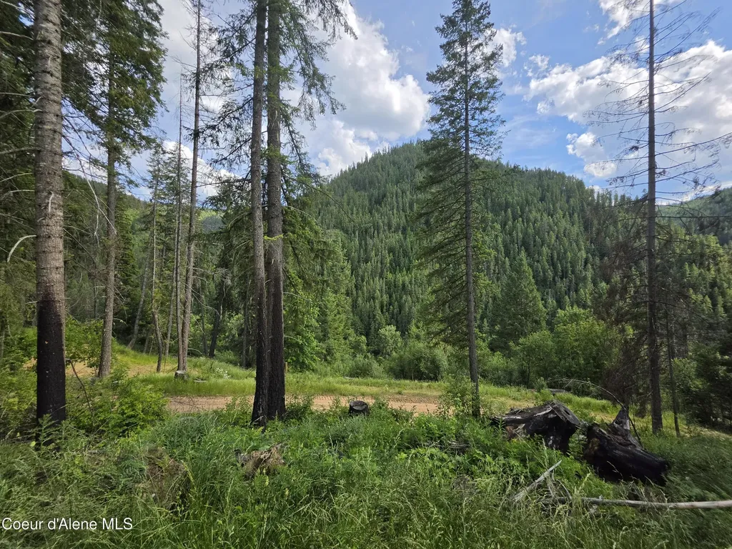 480 Dunn Peak Road Avery ID 83802