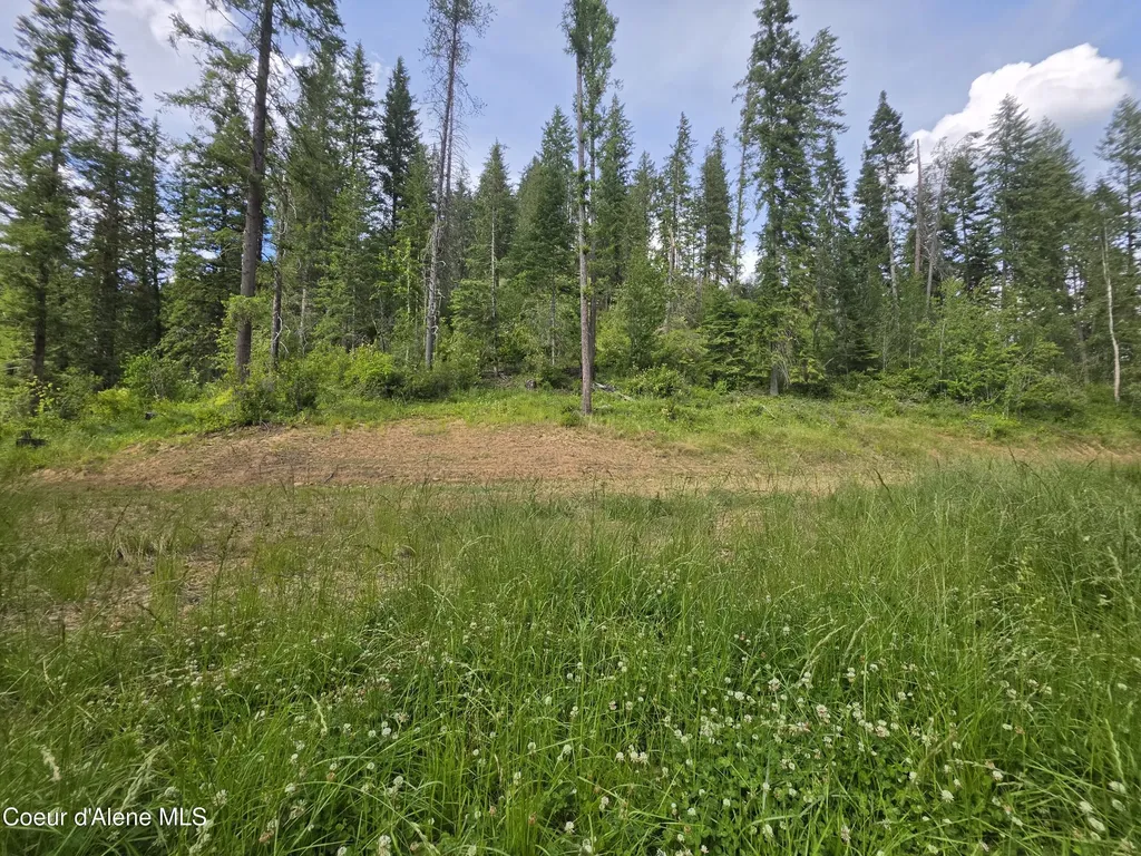 480 Dunn Peak Road Avery ID 83802