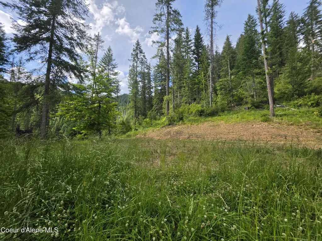 480 Dunn Peak Road Avery ID 83802
