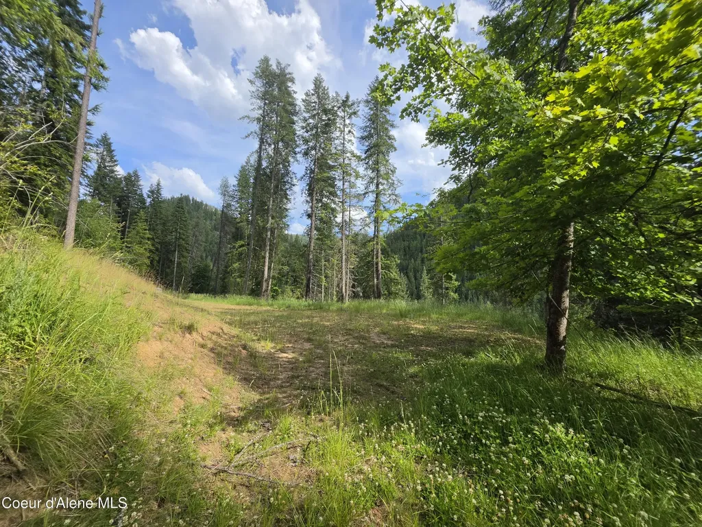 480 Dunn Peak Road Avery ID 83802