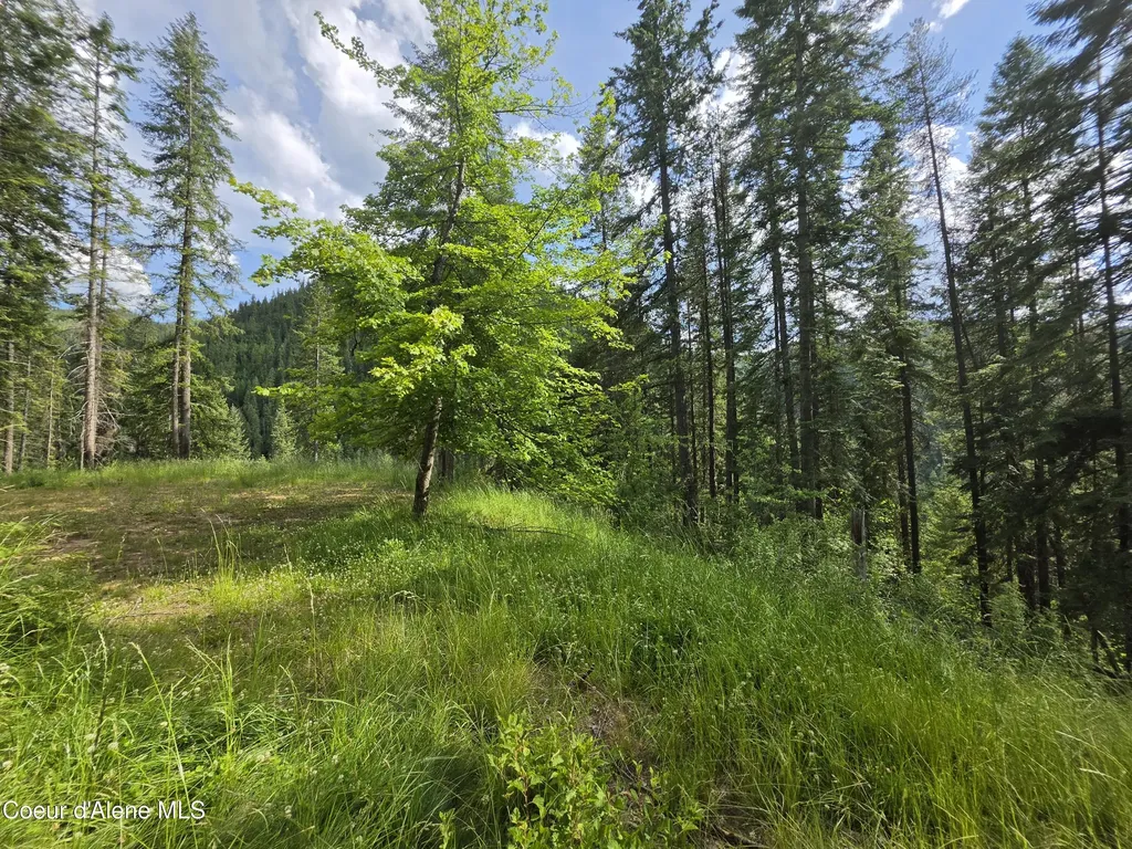 480 Dunn Peak Road Avery ID 83802