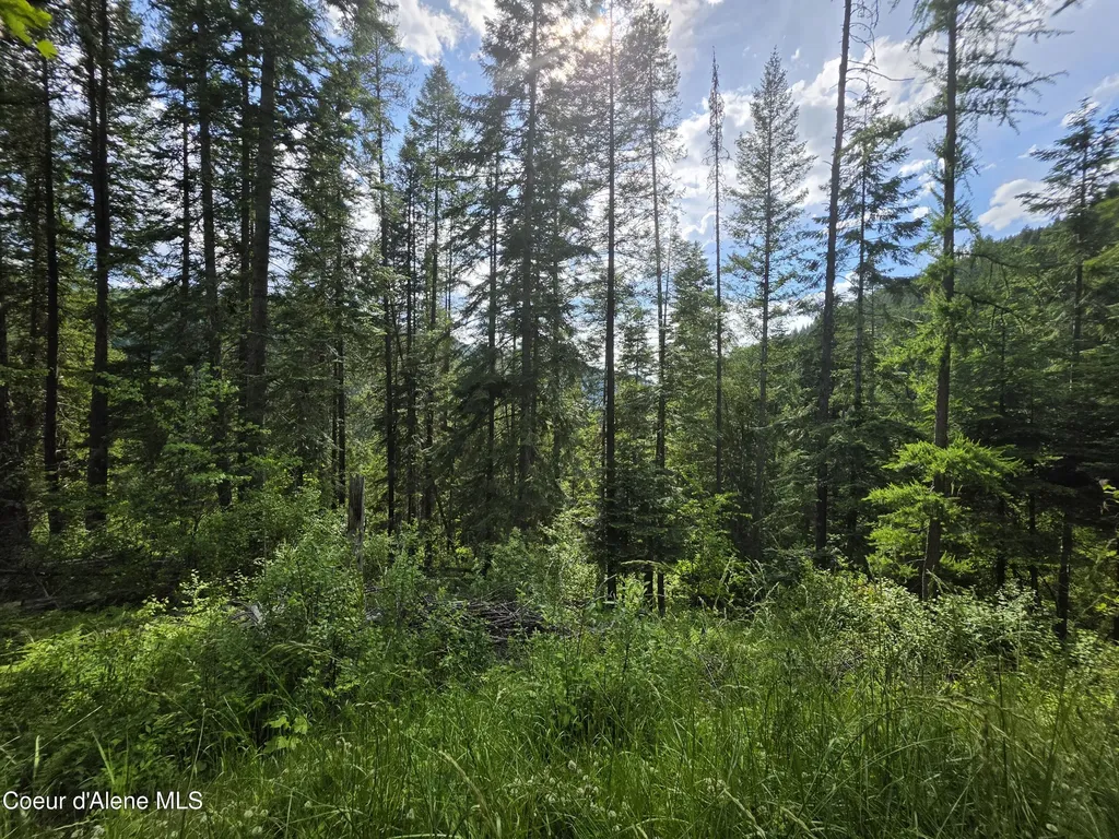 480 Dunn Peak Road Avery ID 83802