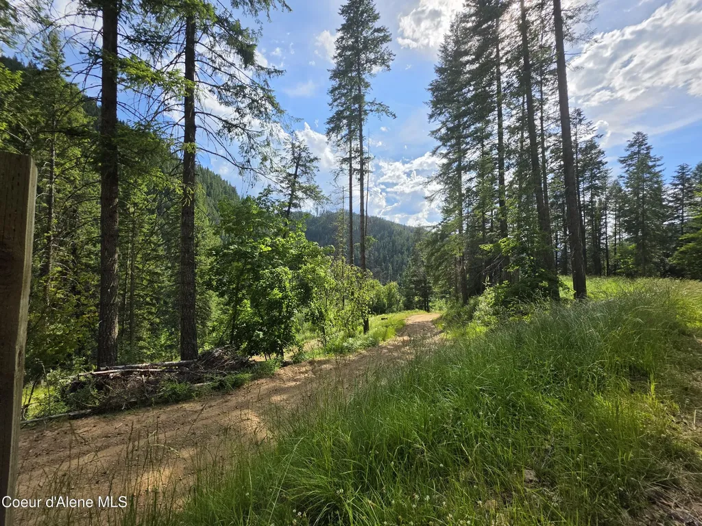 480 Dunn Peak Road Avery ID 83802