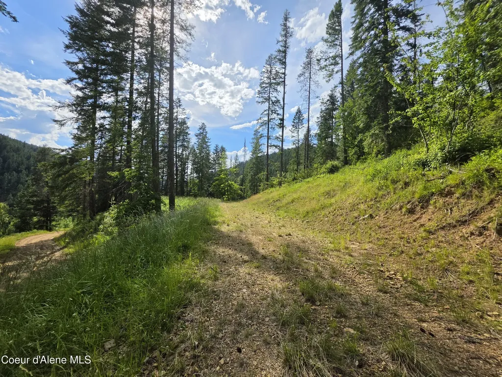 480 Dunn Peak Road Avery ID 83802