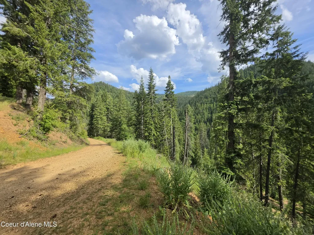 480 Dunn Peak Road Avery ID 83802