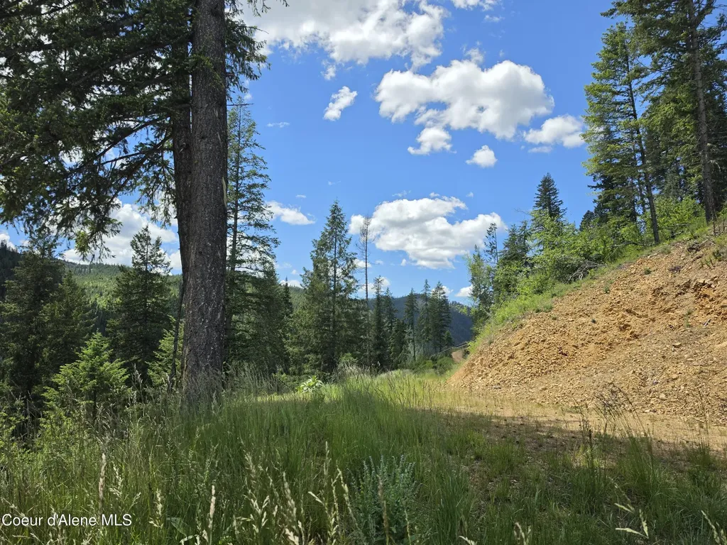 480 Dunn Peak Road Avery ID 83802