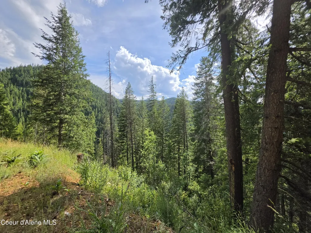 480 Dunn Peak Road Avery ID 83802
