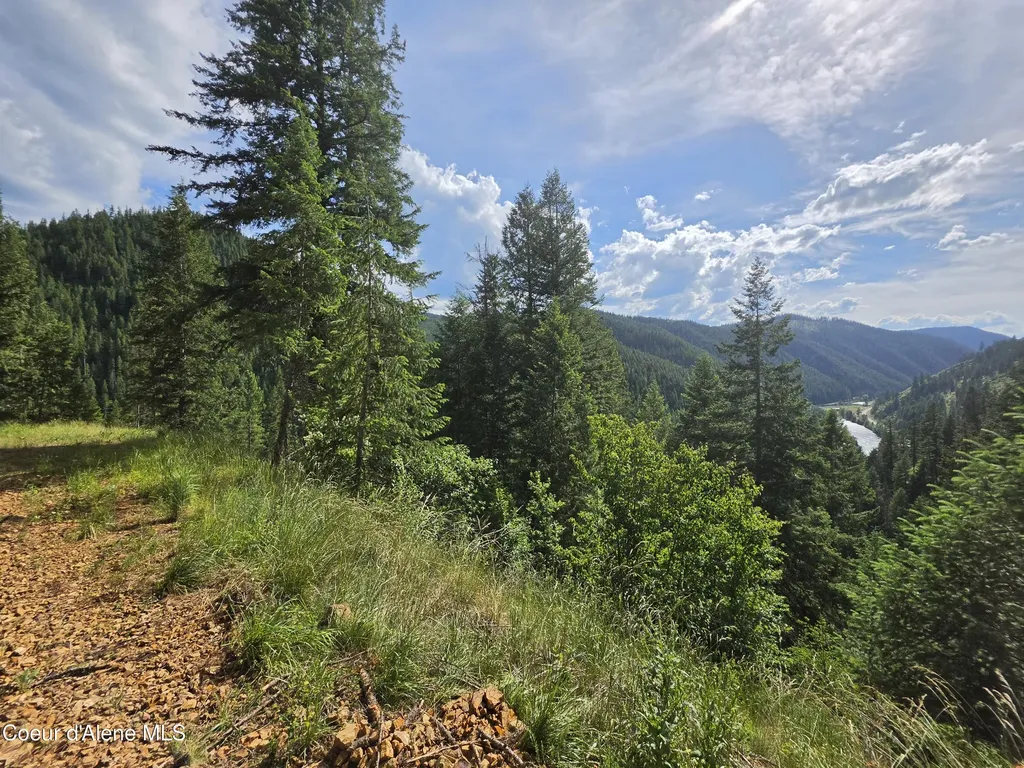 480 Dunn Peak Road Avery ID 83802