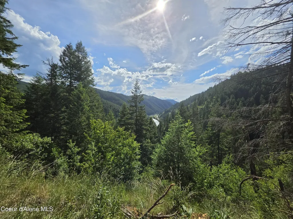 480 Dunn Peak Road Avery ID 83802