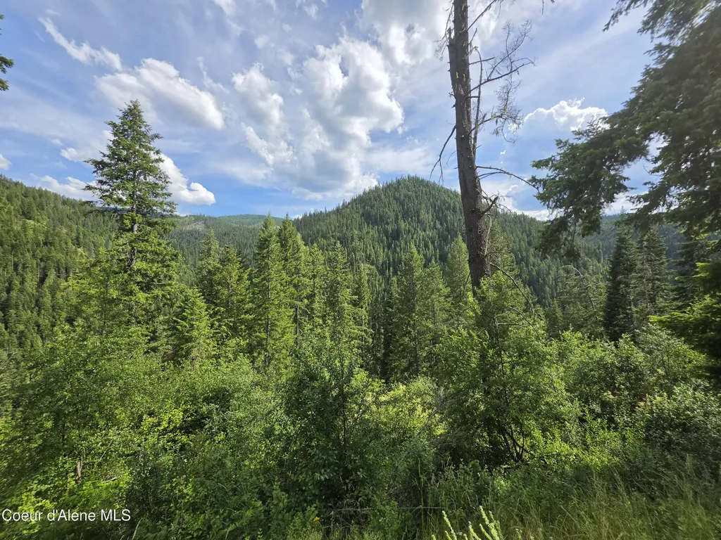 480 Dunn Peak Road Avery ID 83802