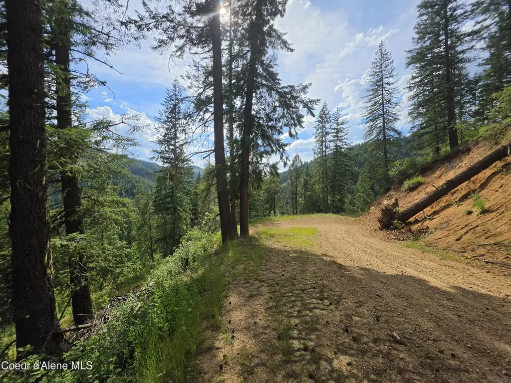 480 Dunn Peak Road Avery ID 83802