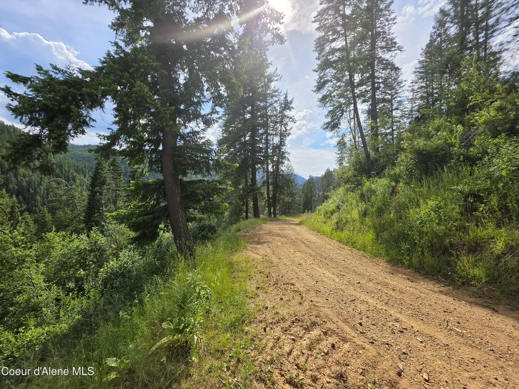 480 Dunn Peak Road Avery ID 83802