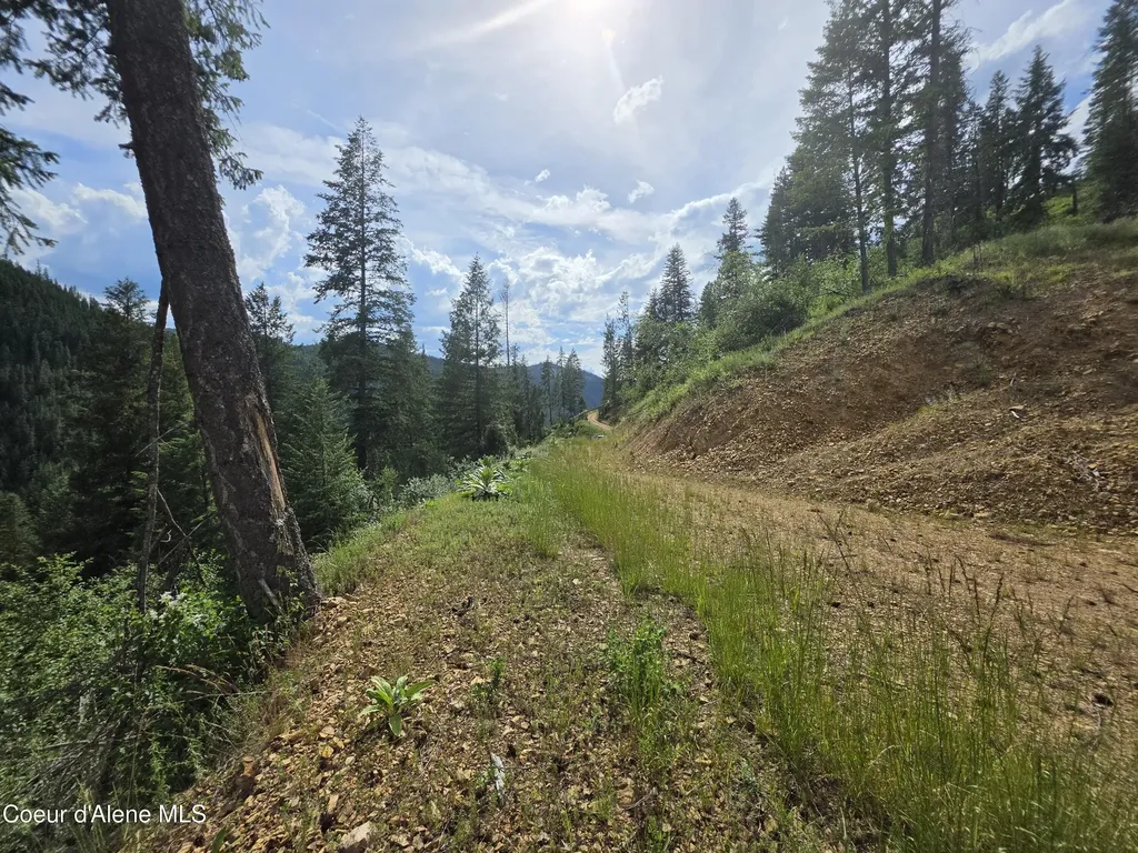 480 Dunn Peak Road Avery ID 83802