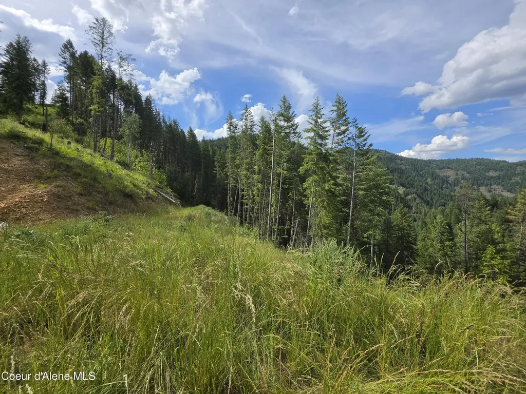 480 Dunn Peak Road Avery ID 83802
